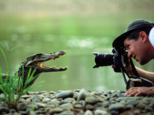 nature-photographers